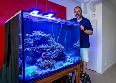 Burhan kweekt veertig soorten koralen op Zuid: ‘Het aquarium is een metafoor voor het echte leven’