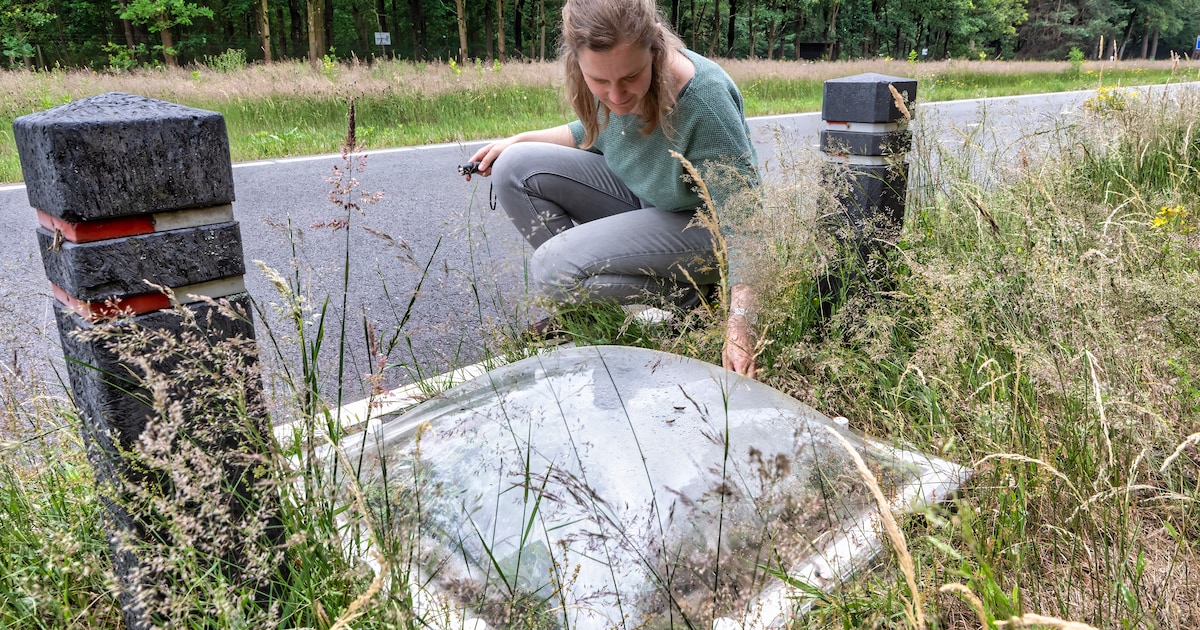 Dit is waarom er langs een fietspad in Rijen een lichtkoepel in de berm ligt