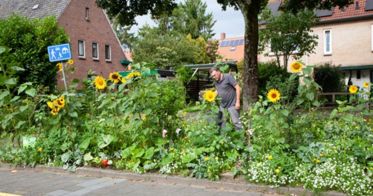 Hilvarenbeek zoekt groene ideeën tegen klimaatverandering