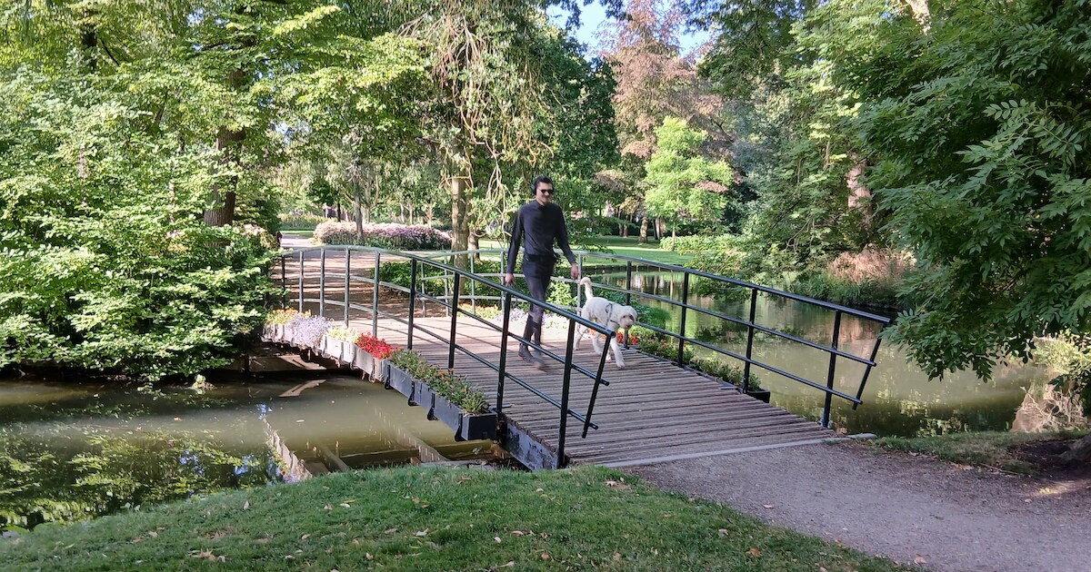 Stichting Park Merwestein erft 2,5 ton van zuinige Dordtse vrouw: ‘Blij, maar wat doen we ermee?’