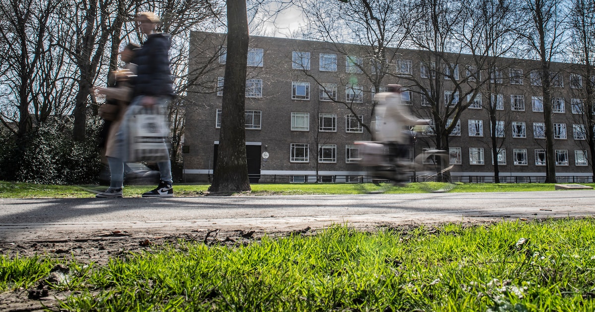 Bredanaar die man in Park Valkenberg uit het niets aanviel moet twee jaar van straat