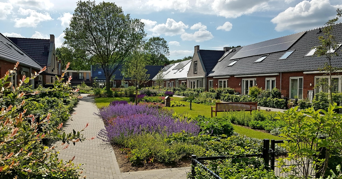 Huurdersraad wil knarrenhofjes om woningmarkt los te trekken: ‘Geen klassiek woningtekort, maar een 