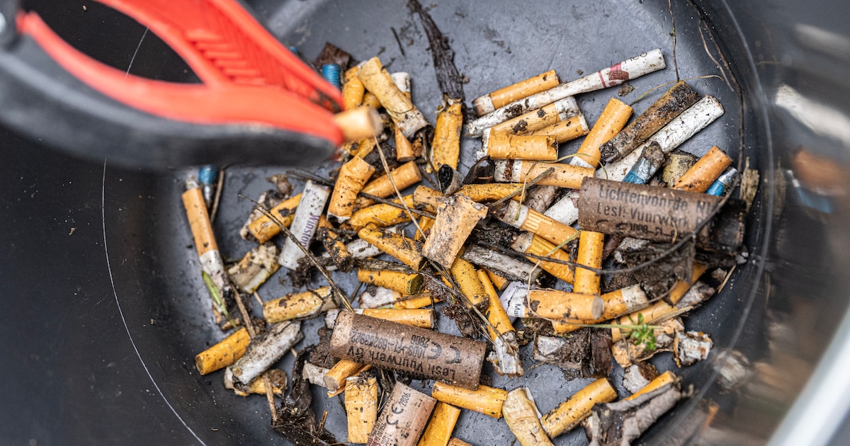 Grote opruimactie tegen peuken in het centrum van Zevenbergen