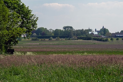 ZLTO wil landbouw in Auvergnepolder behouden: ‘Het belang ervan blijft verrassend onbenoemd’