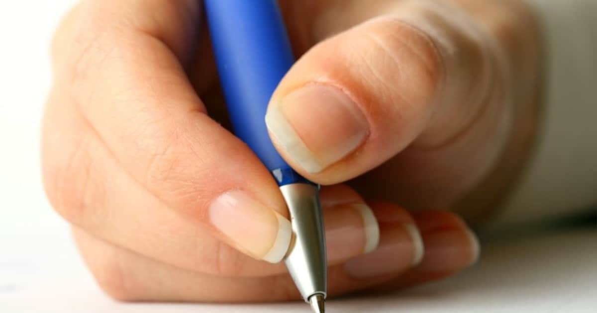 Bananenboom in IJzendijke heeft maling aan seizoenen