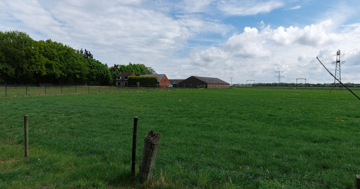 Bewoners Oud Gastel in verweer tegen komst 338 arbeidsmi­gran­ten en ...