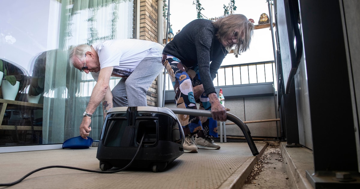 Frie kan al jaren niet op zijn eigen balkon zitten door zwermen grasvliegjes: ‘Ik kan niet eens een 