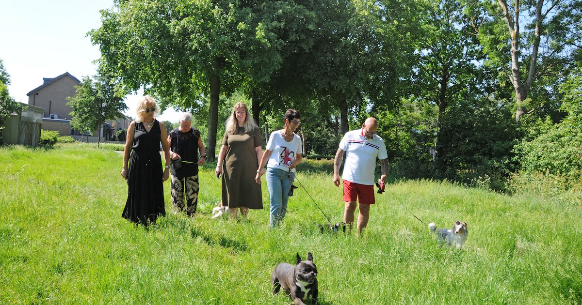 Schouwen-Duiveland past maaibeleid aan na klachten