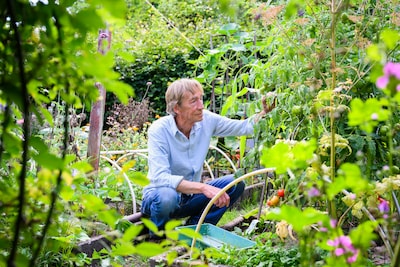 Vorig jaar een grote etterbak, nu plots van de aardbodem verdwenen: waar is de naaktslak gebleven?
