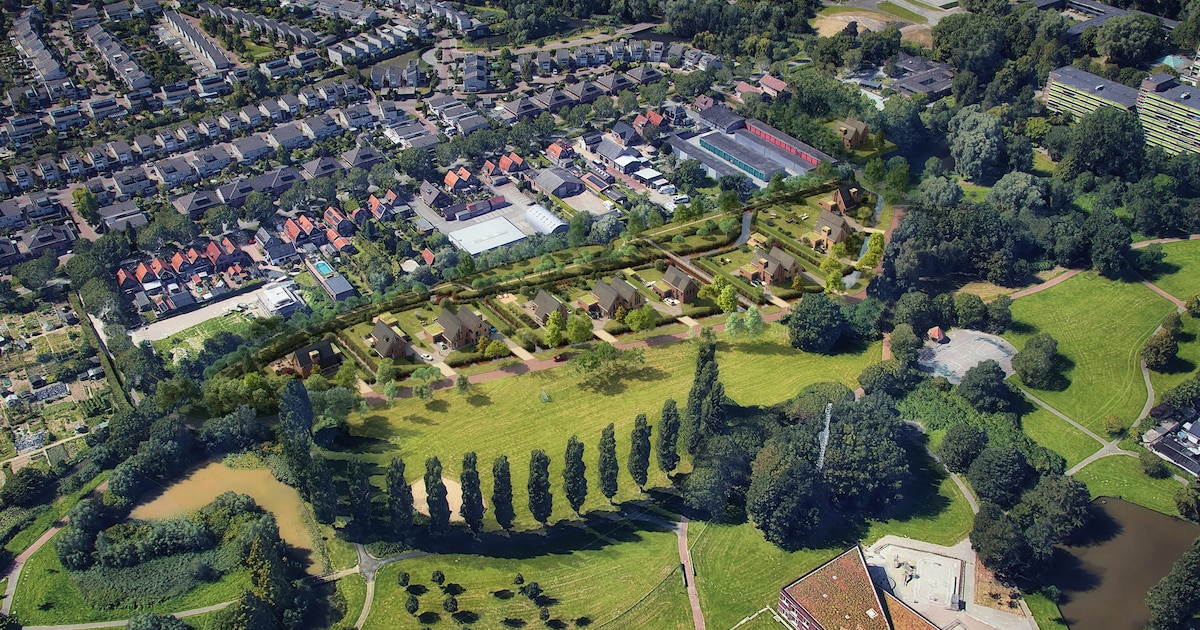 Populieren gekapt voor vijftien luxe villa’s in het Wielwijkpark