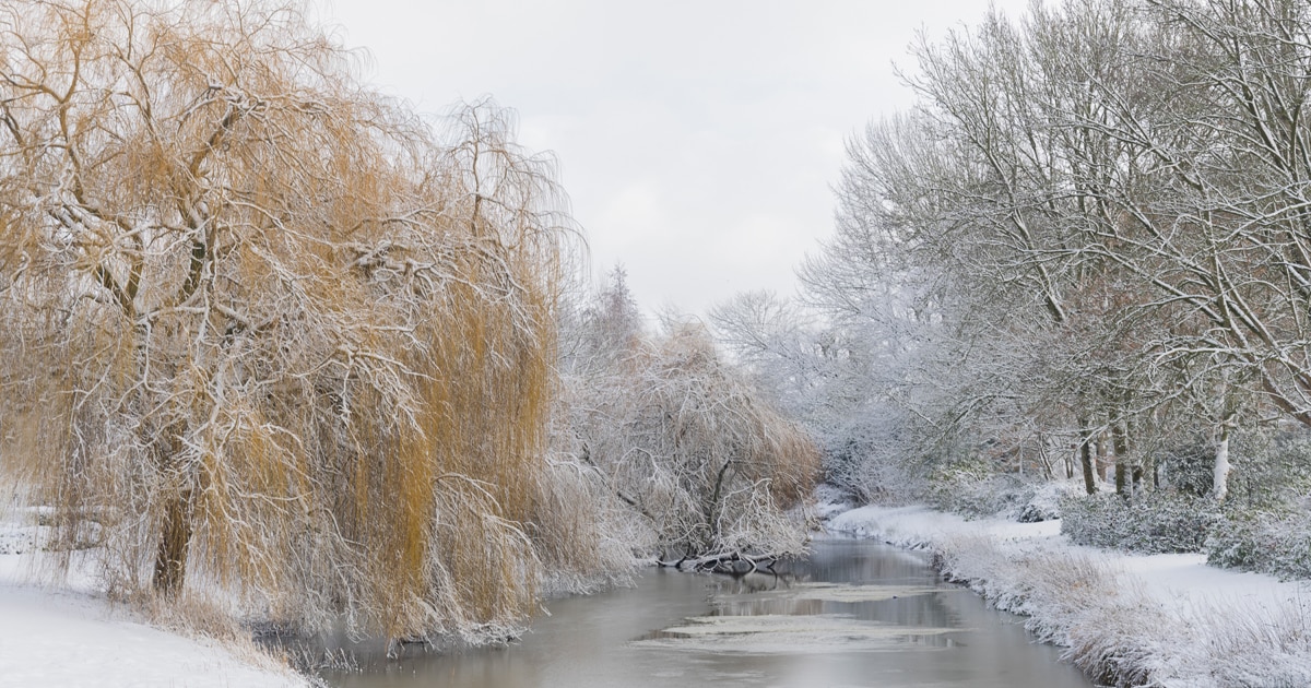 Goed nieuws in beelden gevangen