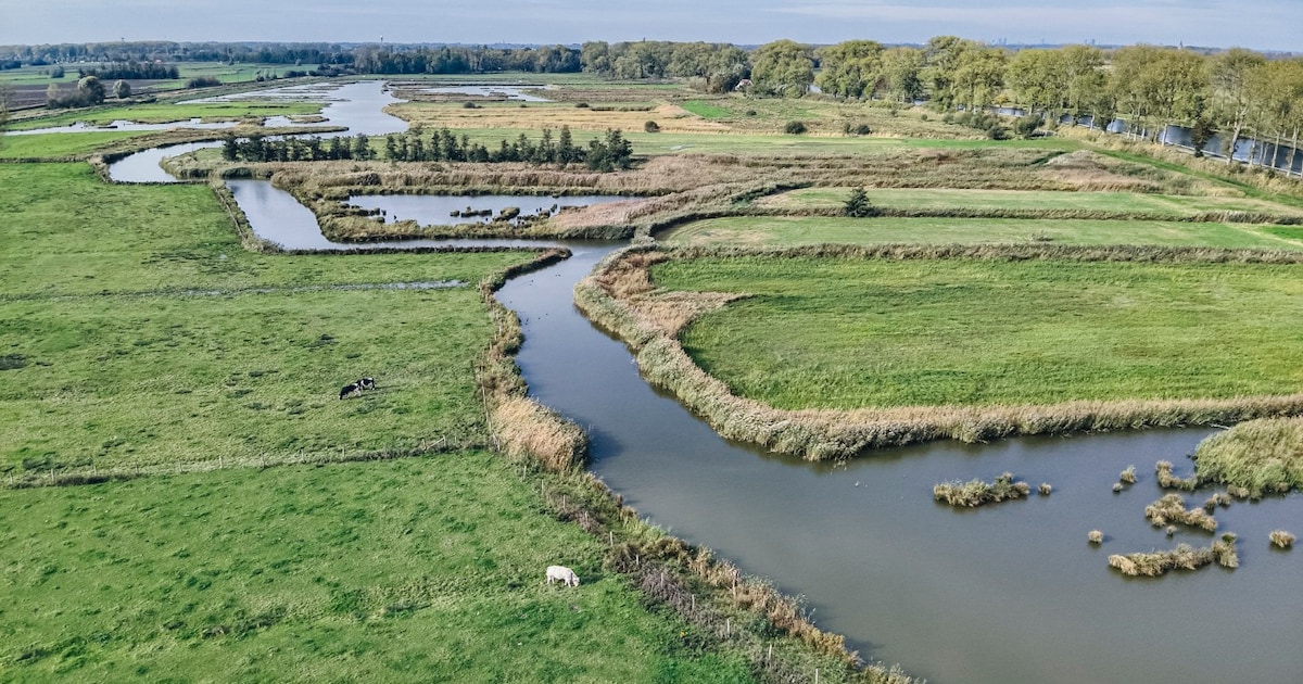 Vertelvoorstelling in Stabroek neemt je mee naar mysterieus moerasverleden