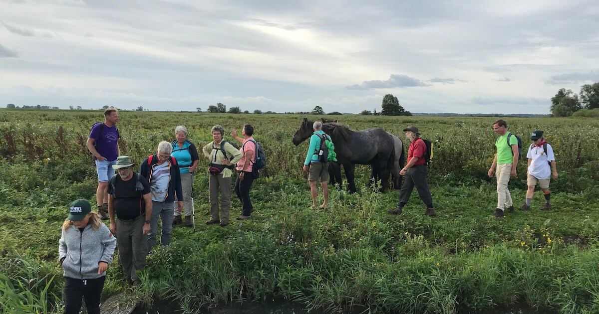 Oeverloop in Oud-Beijerland krijgt 35e editie met bloemrijke dijken als thema