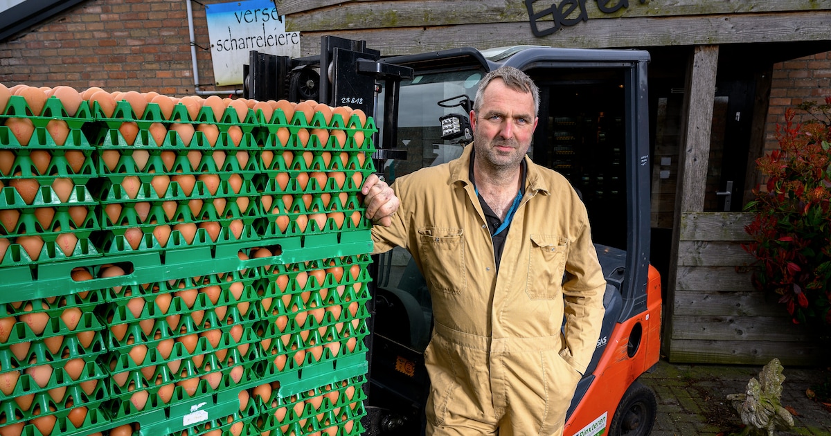 Pluimveehouder Andy werkt met Pasen door: 80.000 eieren per dag en geen tijd voor ontbijt