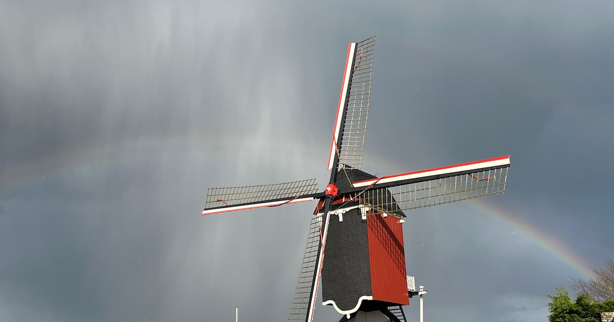 Provincie investeert miljoenen in Brabantse monumenten: bijna twee ton voor molen in Moergestel