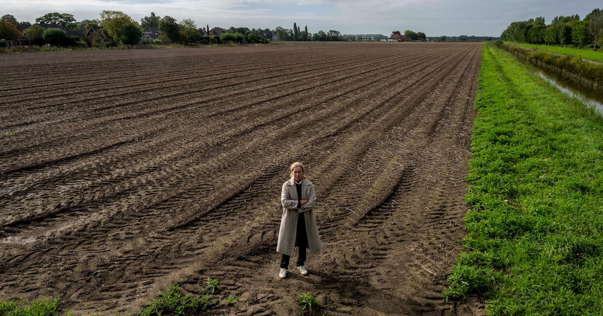 Van snelste bouwlocatie naar ‘on hold’: hoe Dinteloord Zuidwest voorlopig buiten beeld raakte