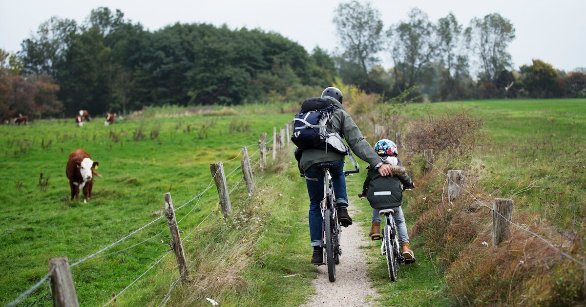 Dorpsraad Steensel uit zorgen over aanleg fietspaden
