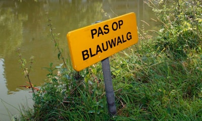 Negatief zwemadvies voor De Tureluur in Bergen op Zoom is ingetrokken