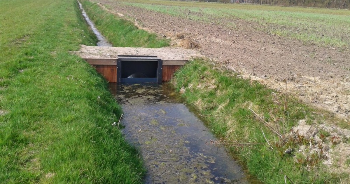 Essen wil uit landbouwvereniging ’t Pleckske stappen: geld voortaan naar lokale projecten