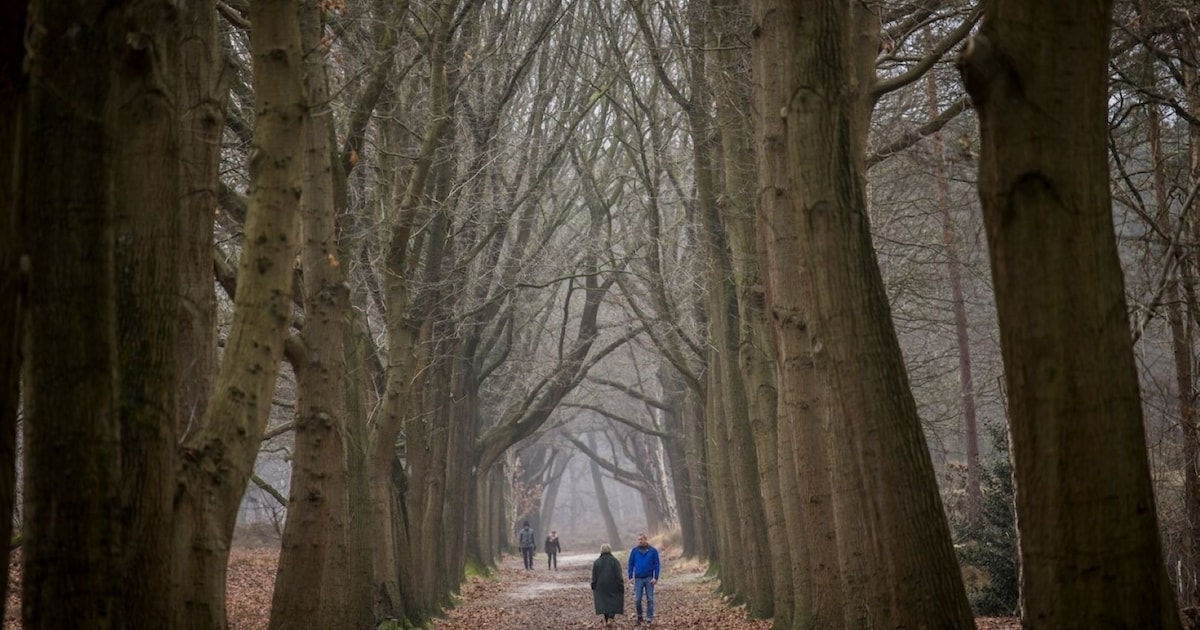 Wandelen in de herfst en winter na fietsen in de lente en zomer