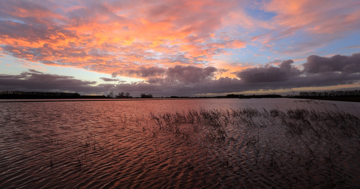 Boswachter vertelt in Woudrichem hoe natuur de Noordwaard herovert