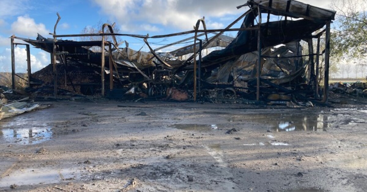 Gemist? Zeeuwen doen niet mee aan hysterie rond kerstbomen | Verwrongen staal en geblakerde balken i