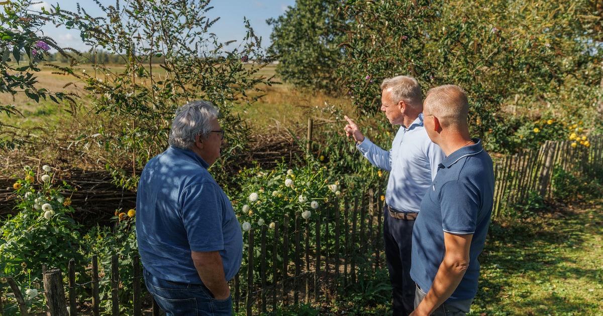 Aanhoudende roep om groenbehoud in plan Haansberg Oost: ‘Gemeente heeft gekokerde visie’