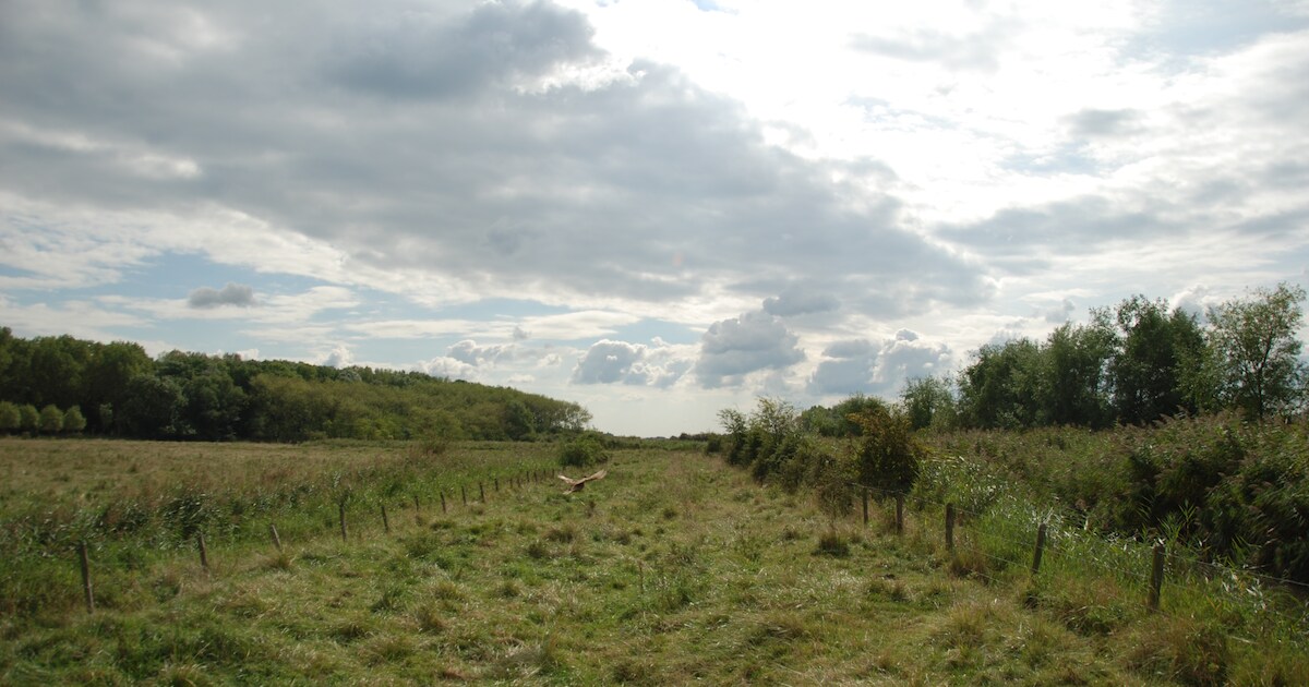 Strijdersgatpolder breidt uit met 33 hectare