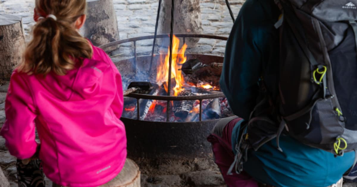 OERRR Winter-wandeling op Tiengemeten: ontdek hoe dieren de kou trotseren