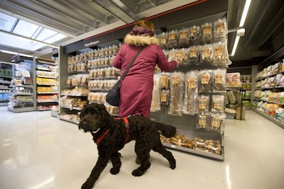 Nog een plek om je huisdier flink te verwennen: Pets Place opent een nieuwe winkel in Breda