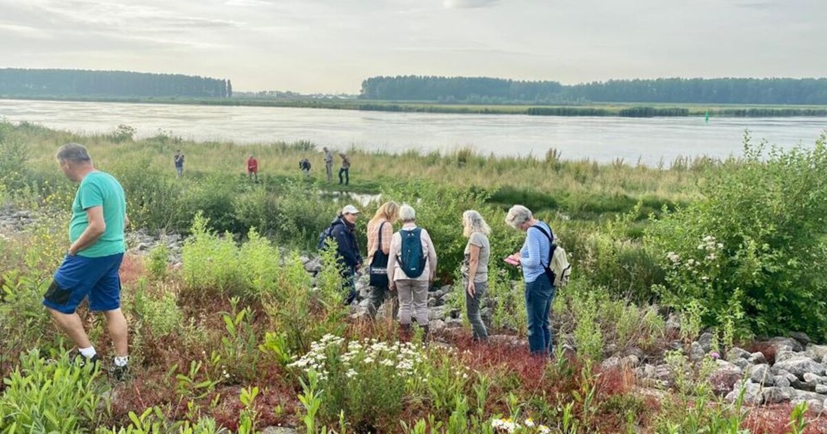 Plantencursus voor beginners in Zuid-Beijerland en Numansdorp met excursie en thema-middagen