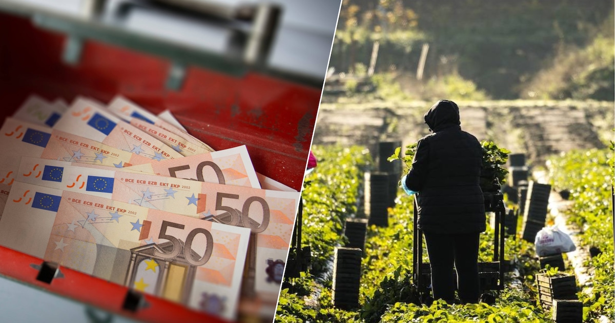 Roosendaal houdt 4,5 miljoen euro over, maar had dat niet miljoenen meer moeten zijn?