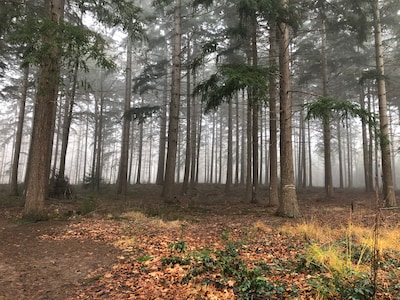 Agentschap Natuur en Bos zoekt nieuwe beheerders voor percelen in Essen