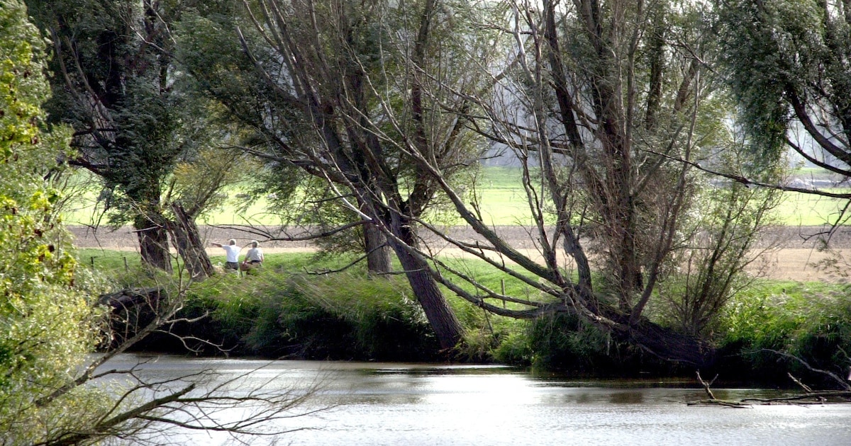 Megawindmolenproject levert Drimmelen 9,6 miljoen op en dat geld gaat naar deze vier doelen