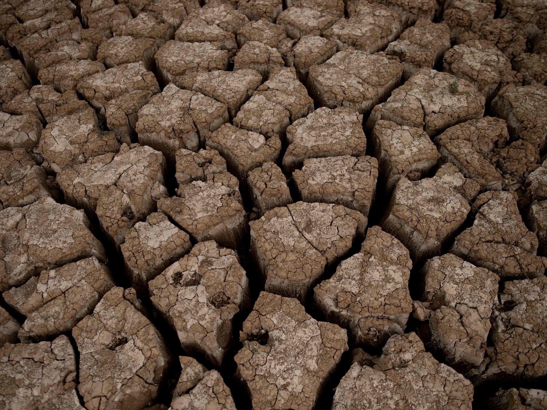 Klimaatexperts: ‘Hittegolven met 50 graden mogelijk in Europa’
