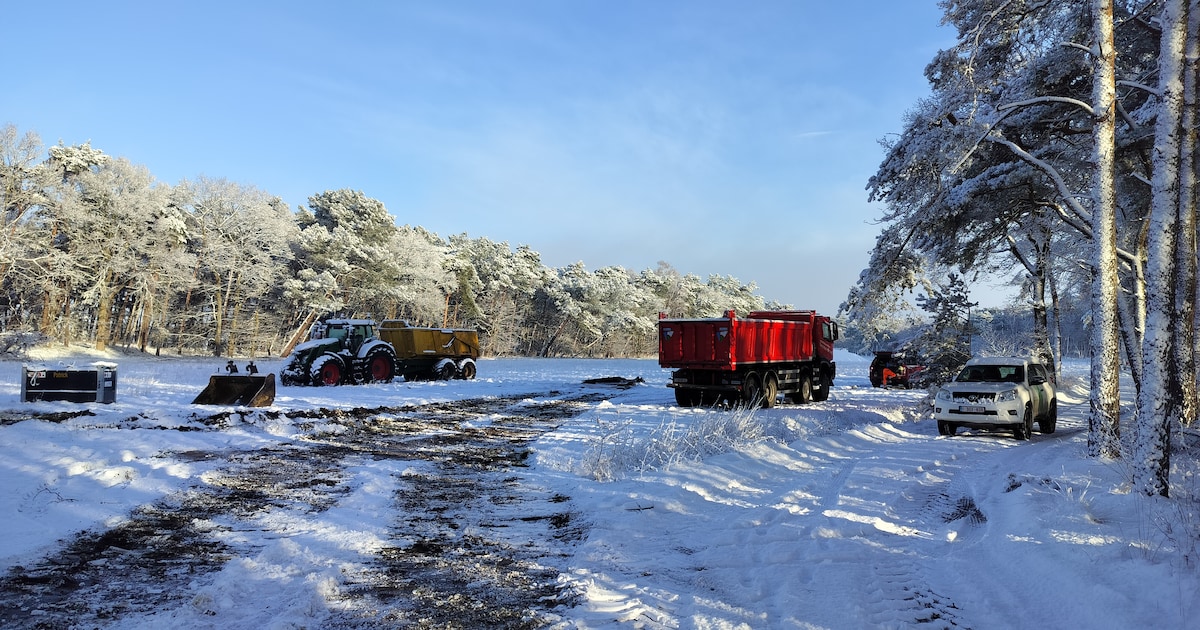 Extra filter moet kwaliteit van water dat van Kalmthoutse Heide naar Groote Meer in Ossendrecht vloe