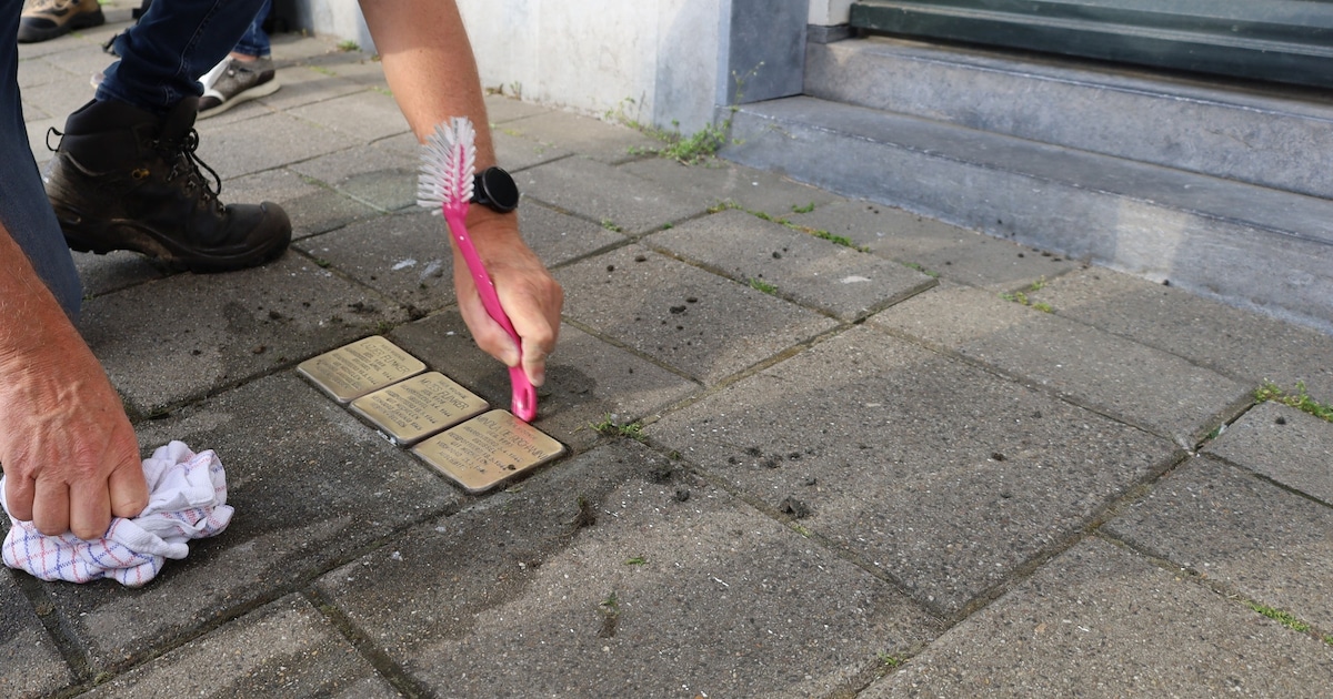 Stolpersteine worden gepoetst in Roosendaal