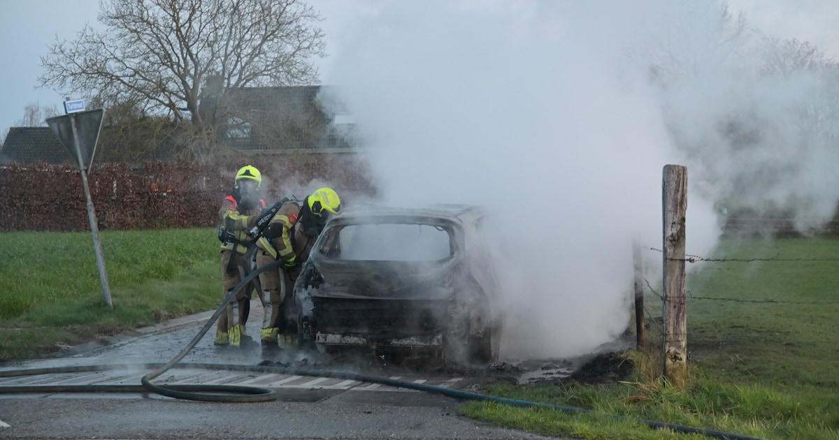 Auto vliegt in brand in Etten-Leur: bestuurder weet voertuig veilig weg te zetten