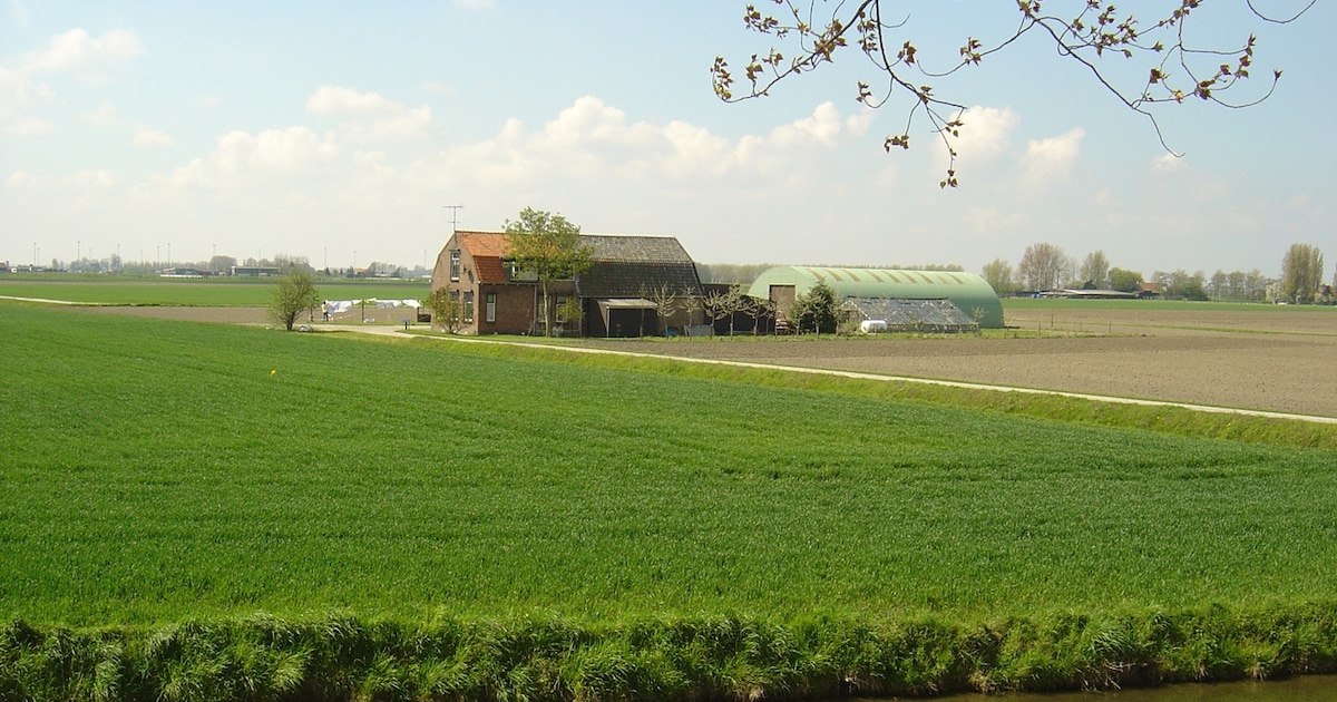 Enthousiasme in Nissewaard over twee eilandjes waarop zo’n 180 woningen moeten komen