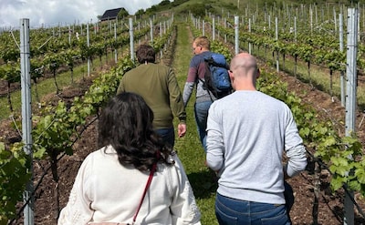 Lekker weg in eigen land: bezoek binnenkort een wijngaard in de buurt van Breda