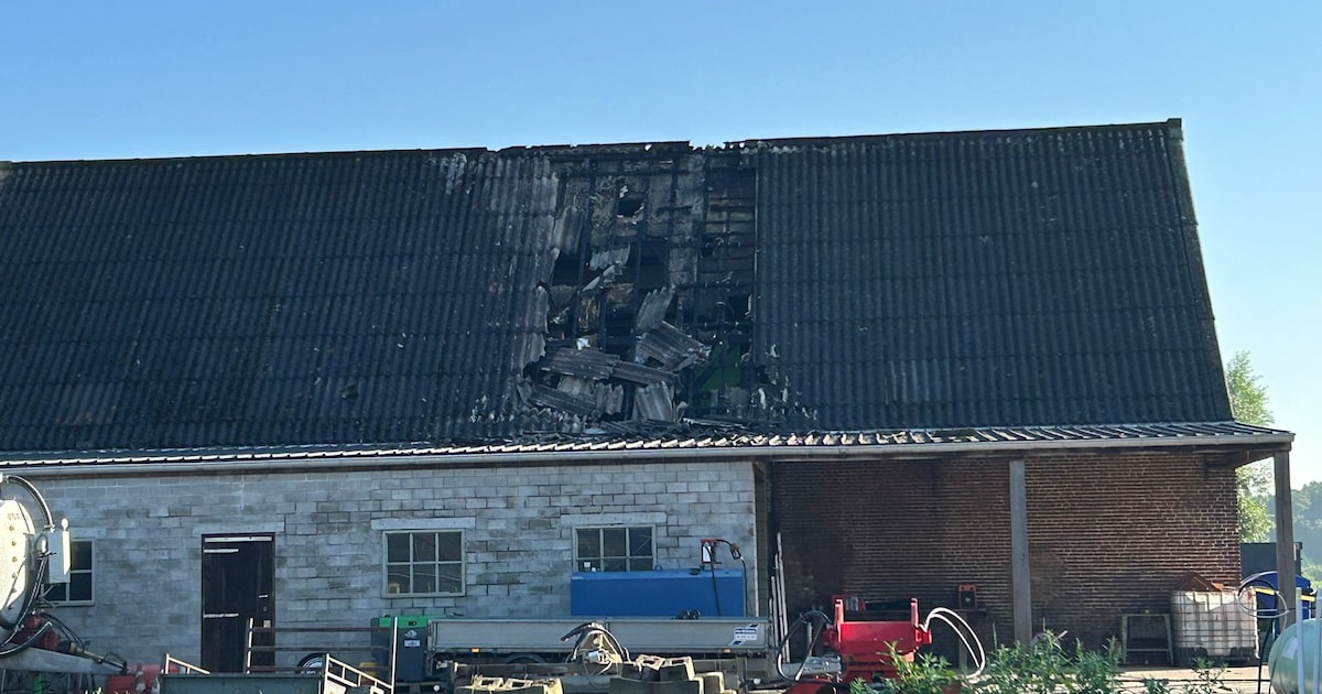 24 kinderen van zwemvereniging uit Zundert ontsnappen uit brandende kampschuur: ‘Dit had heel anders