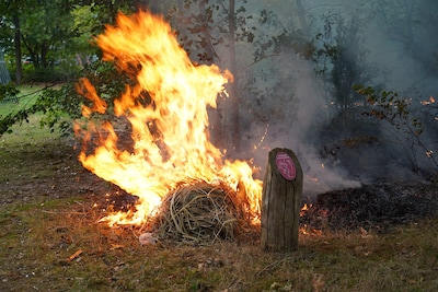 Bosbrand in Oosterhout: rook en vlammen goed te zien
