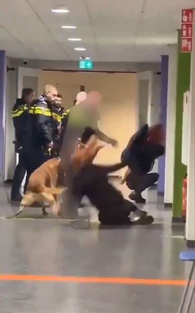 Vrouw die in azc Zeist op de grond werd gegooid door agent laat van zich horen: ‘Ik wilde gewoon een vraag stellen’