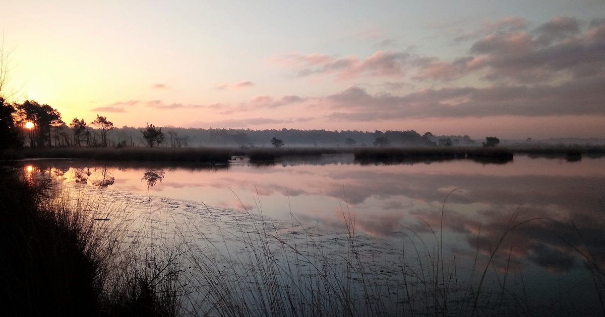 Beleefweek in Grenspark Kalmthoutse Heide