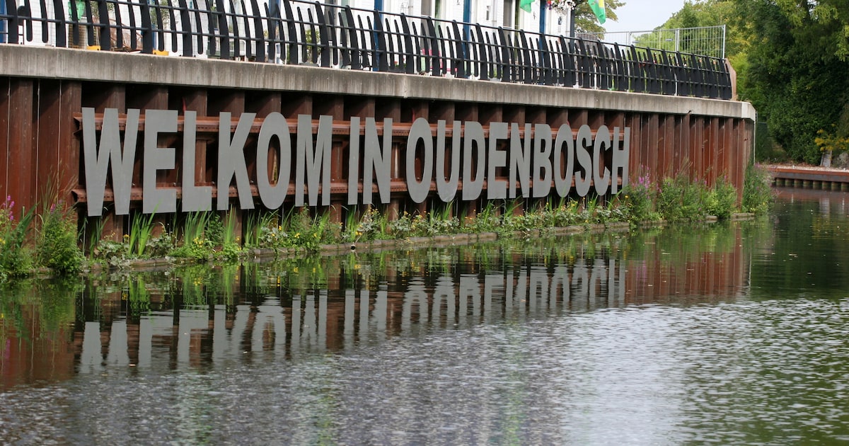 Kunstenaarscollectief Halderberge exposeert in september in Oudenbosch