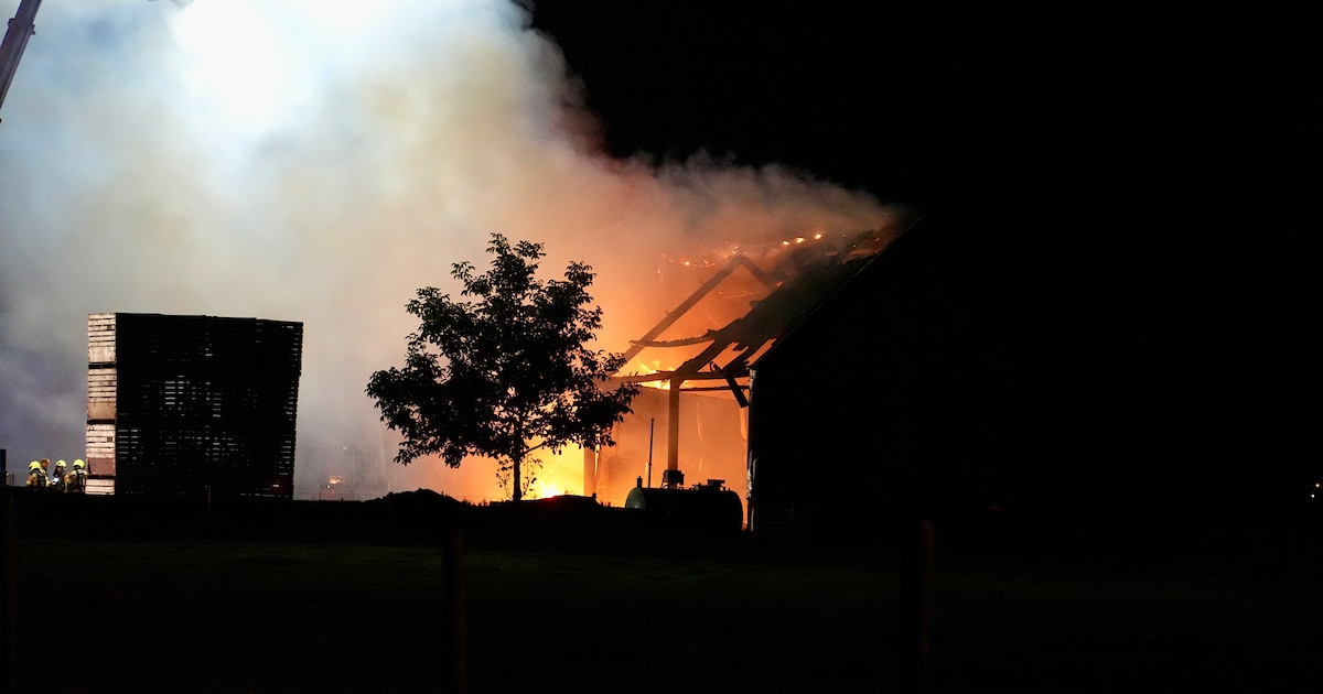 Loods in Willemstad volledig verwoest door brand