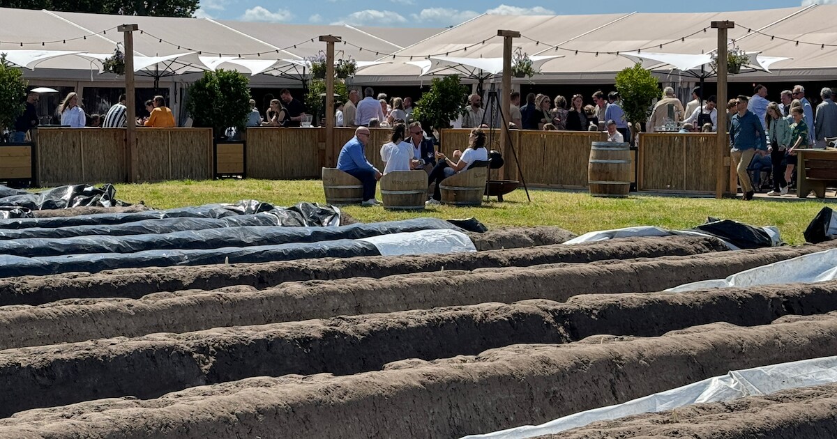 Asperges recht van het veld zo op je bord: culinair evenement viert tienjarig jubileum in Cromvoirt