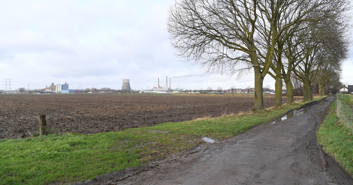 Gemeenteraad trapt op de rem: natuurpark in Allardpolder kan zonder extra geld niet verder