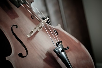 Stadhuisconcert in Tholen brengt ‘Lied zonder woorden’