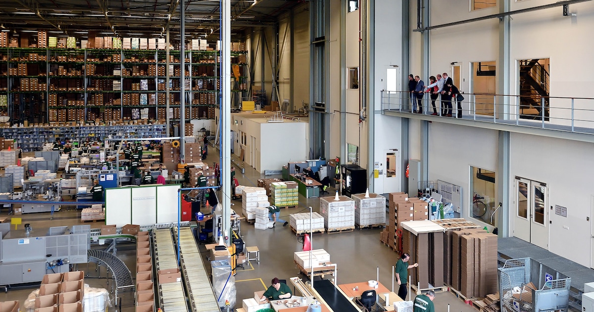 Forever Direct synoniem aan pure arbeidsvreugde in Oud Gastel | Regio ...